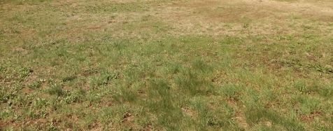 Działka inwestycyjna na sprzedaż Bugaj 3 500m2 Foto 1 Działka inwestycyjna na sprzedaż Bugaj 3 500m2 Foto 1