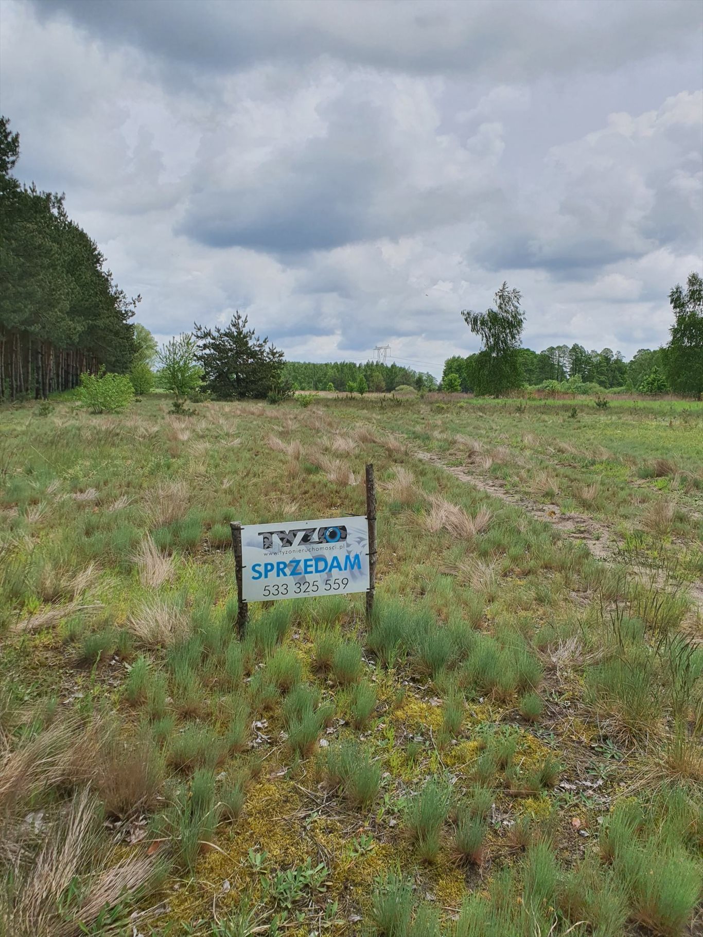 Działka rolna na sprzedaż Warszówka, Warszówka  12 200m2 Foto 10