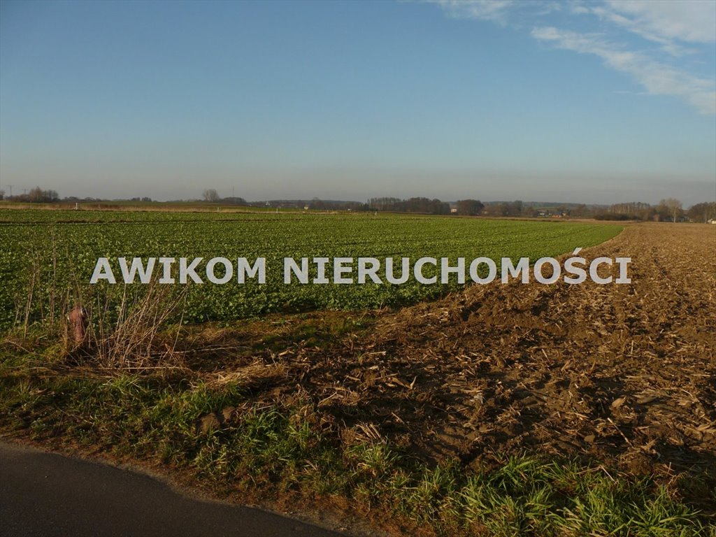 Działka rolna na sprzedaż Nowy Kawęczyn, Nowy Dwór-Parcela  10 900m2 Foto 5