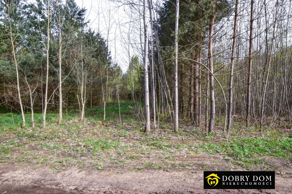 Działka rolna na sprzedaż Białowieża  8 880m2 Foto 4