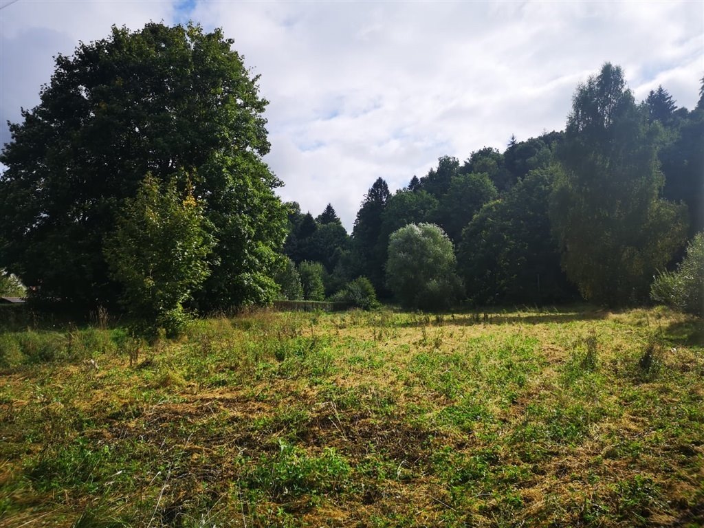 Działka rolna z możliwością zabudowy, 4 600 m², przy lesie Miłoszów  4 600m2 Foto 1