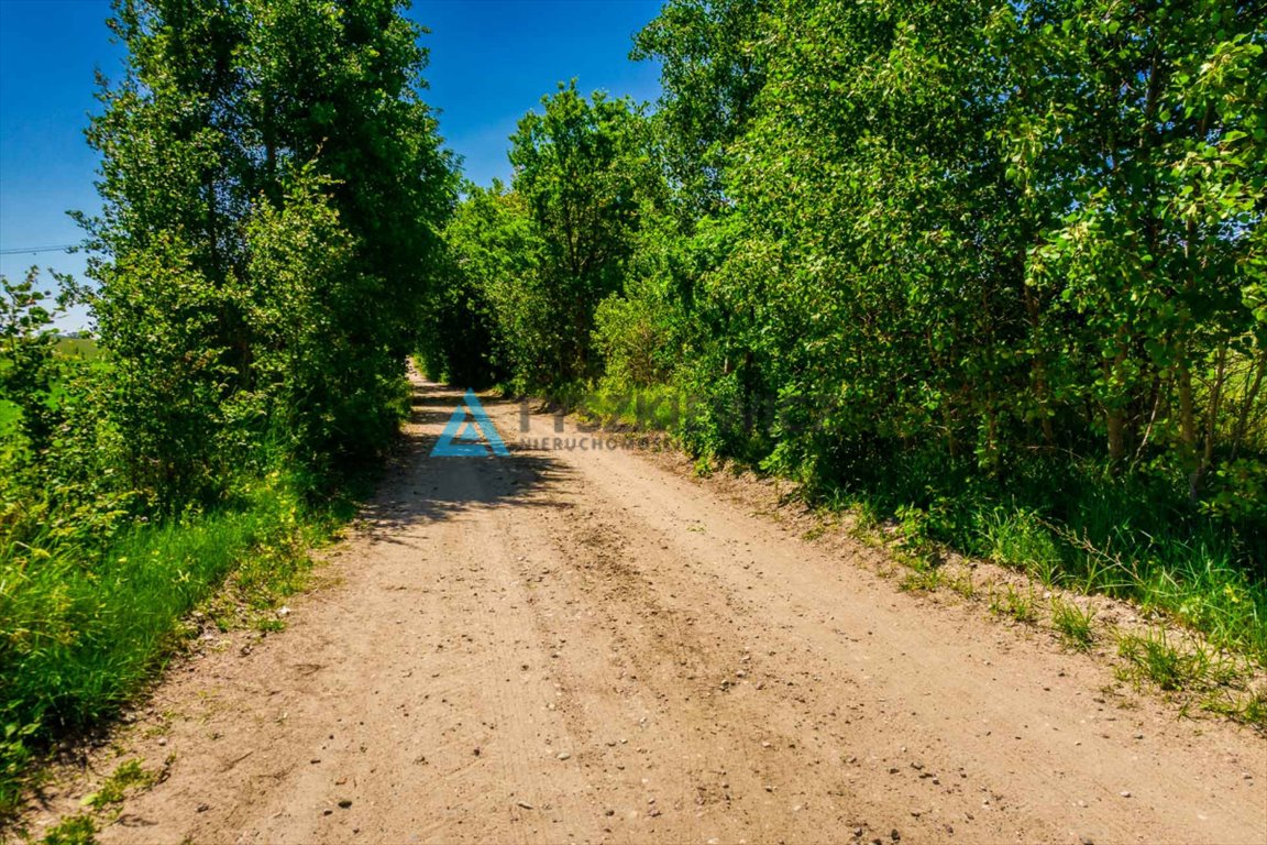 Działka budowlana na sprzedaż Góra  1 127m2 Foto 12