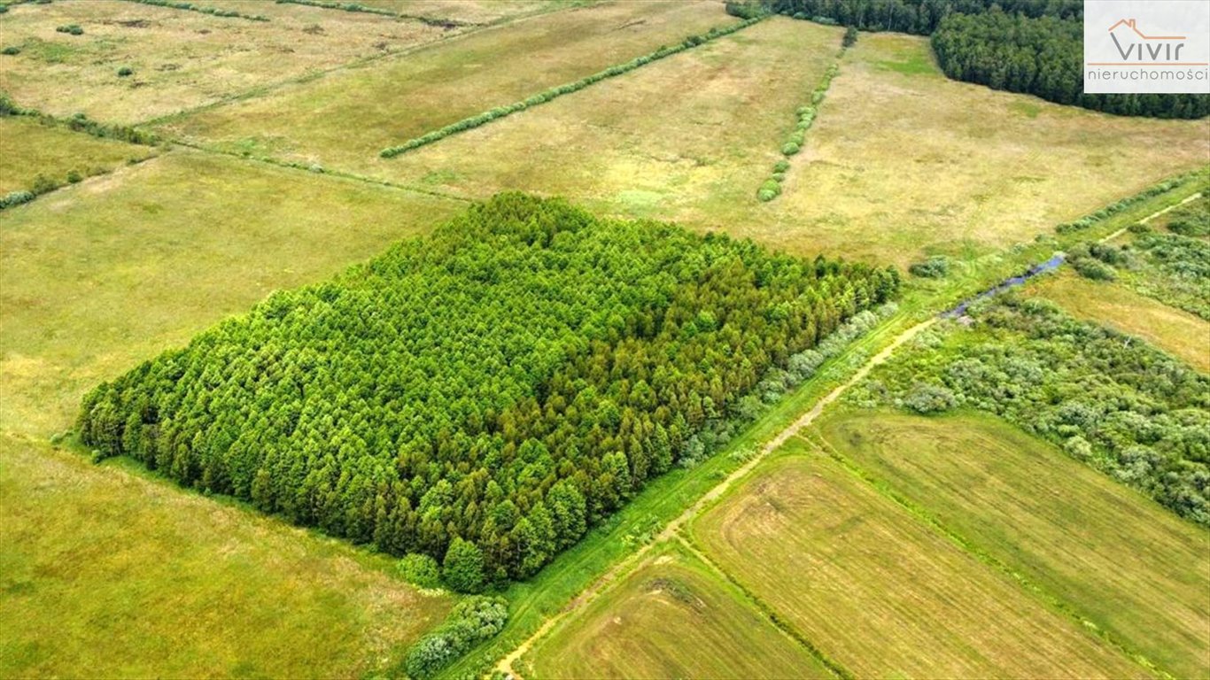 Działka inna na sprzedaż Rzuszcze  30 900m2 Foto 6