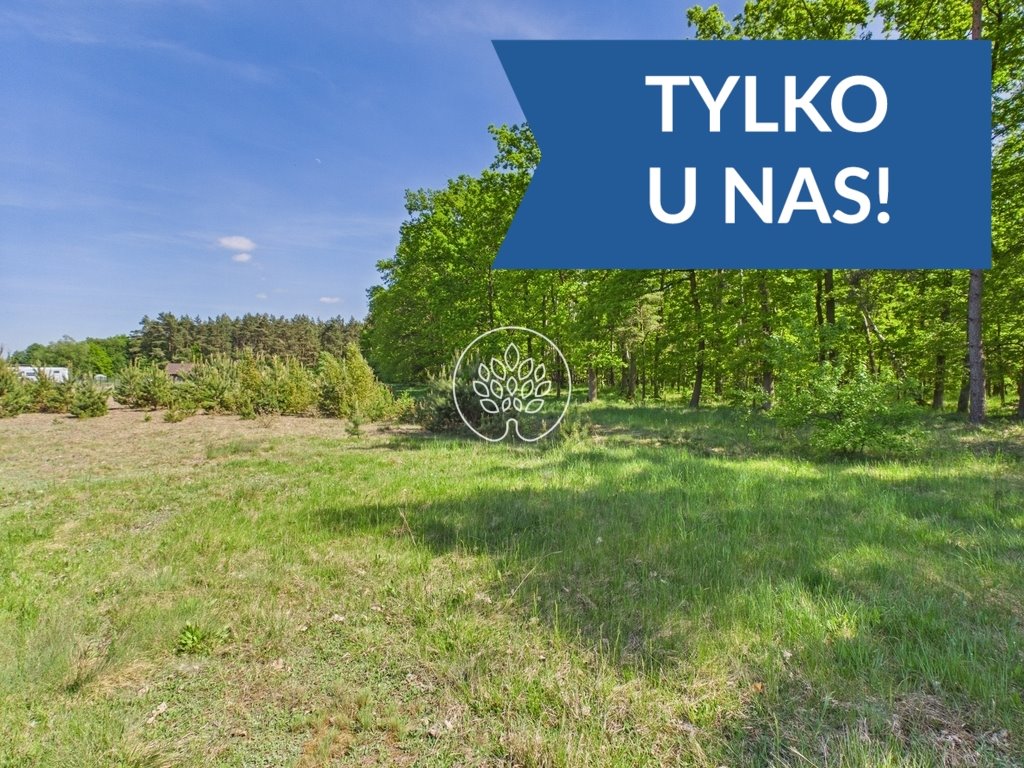 Zapraszam do zakupu działki 1585 m² pod dom w lesie w Kobylarni Kobylarnia  1 535m2 Foto 1