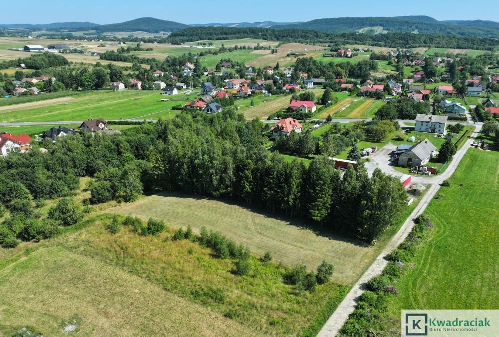 Działka budowlana na sprzedaż Czerteż  1 709m2 Foto 2