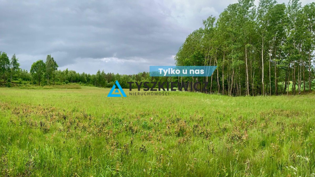 Działka w Kaszubach z warunkami zabudowy, jezioro 1300m Borzestowo, Stary Dwór  917m2 Foto 1