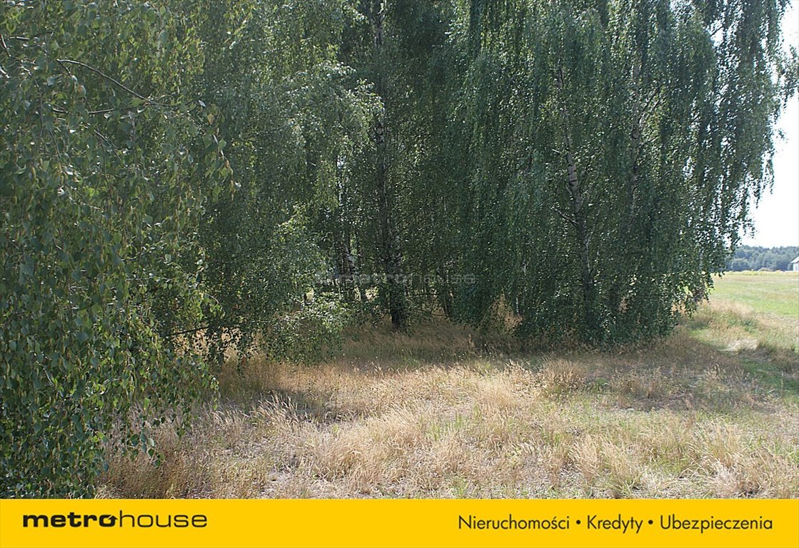 Działka rolna na sprzedaż Jakubów, Dobra  15 000m2 Foto 2