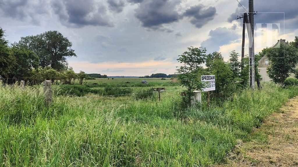 Działka budowlana na sprzedaż Gąsierzyno, Wojska Polskiego  3 000m2 Foto 3