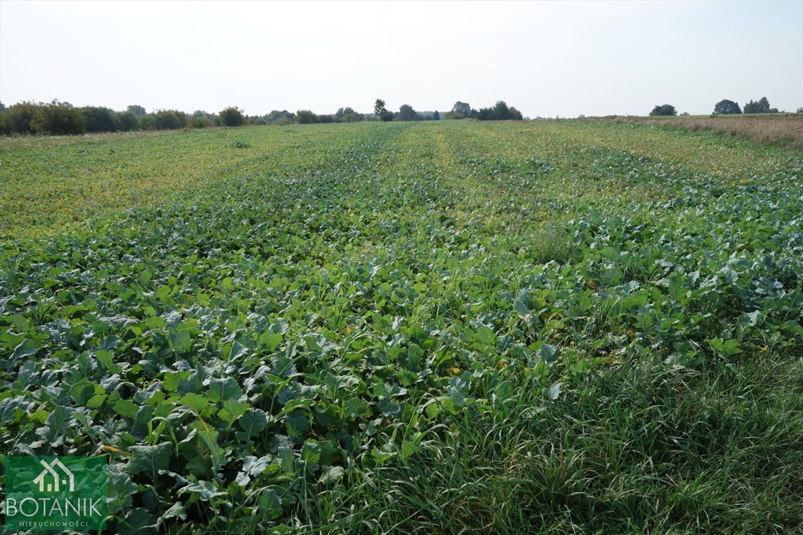 Działka inna na sprzedaż Natalin  10 400m2 Foto 1