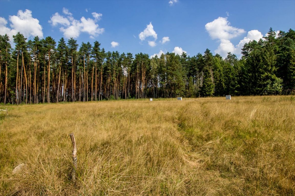 Działka budowlana na sprzedaż Koszęcin, Piaskowa  585m2 Foto 11