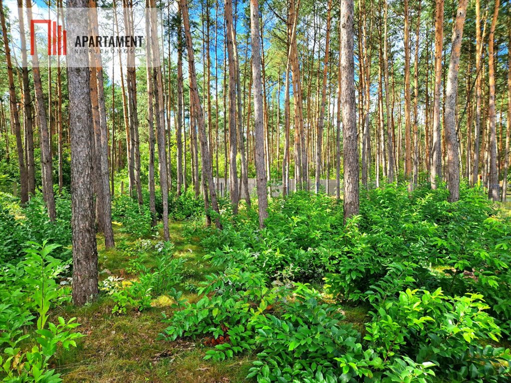 Działka budowlana na sprzedaż Koronowo  973m2 Foto 3