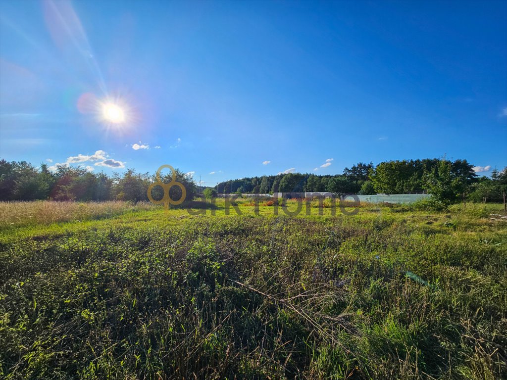 Działka budowlana na sprzedaż Zielona Góra, Przylep  1 001m2 Foto 6