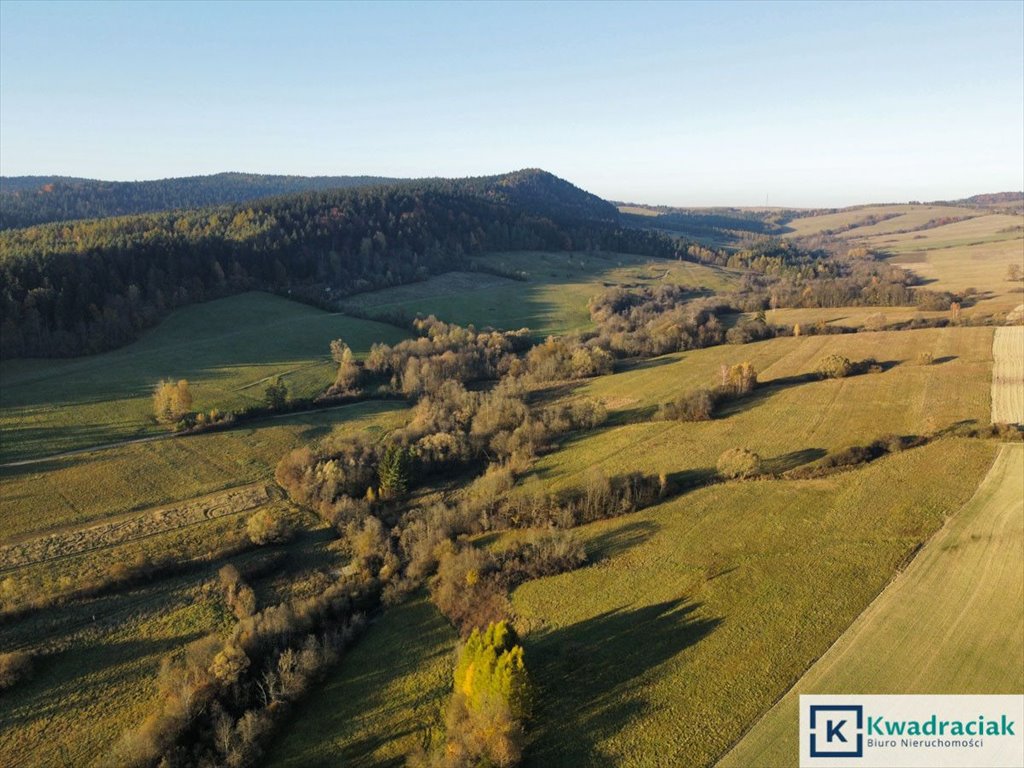 Działka rolna na sprzedaż Daliowa  35 000m2 Foto 5