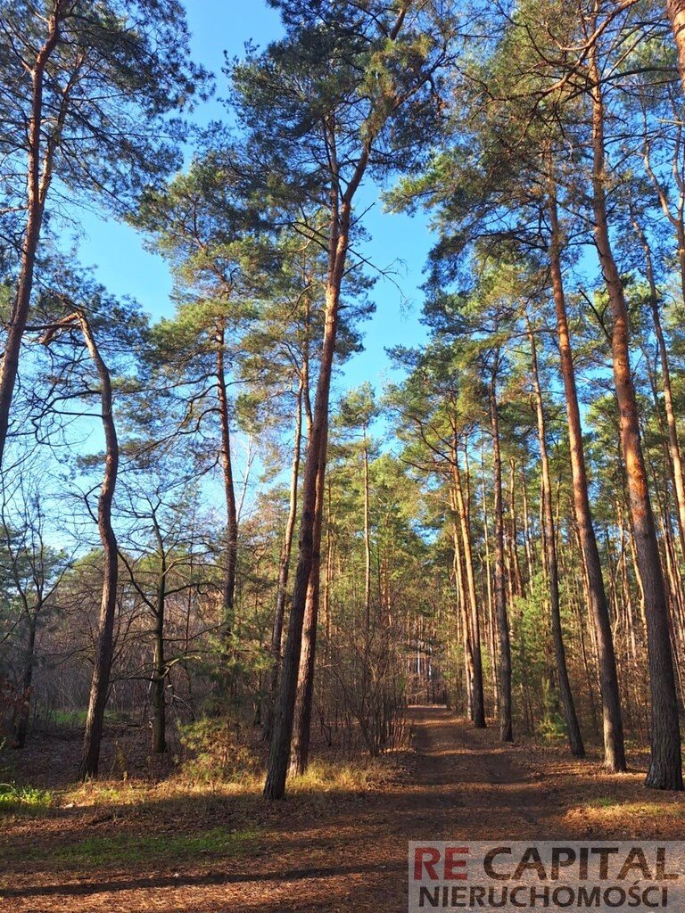 Dom na sprzedaż Zielonki-Wieś  170m2 Foto 18