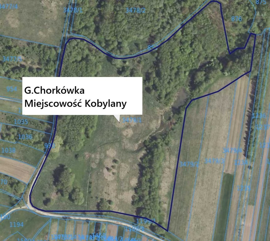 Polecam 12ha działek rolnych w Kobylanach - atrakcyjna cena Kobylany  120 590m2 Foto 1