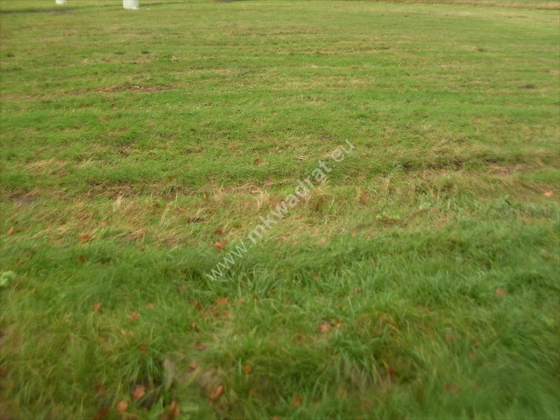 Działka inwestycyjna na sprzedaż Warszawa, Białołęka, Szklarniowa 8 883m2 Foto 1 Działka inwestycyjna na sprzedaż Warszawa, Białołęka, Szklarniowa 8 883m2 Foto 1