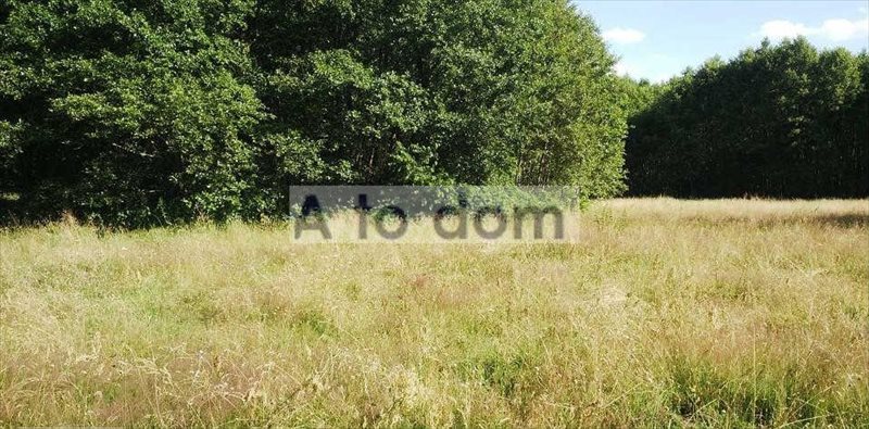 Działka 4500 m² pod usługi i turystykę w Arciechowie Arciechów  4 500m2 Foto 1