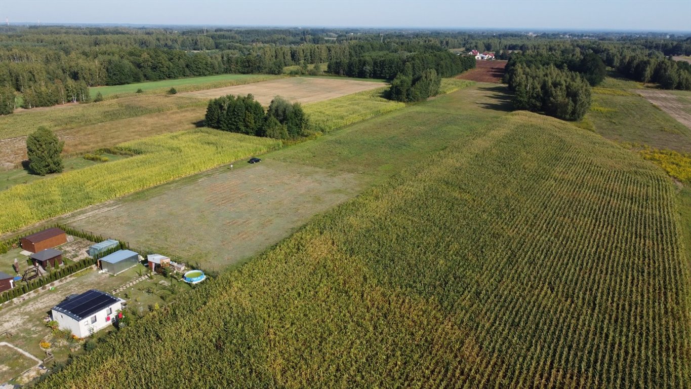 Działka rolna na sprzedaż Feliksów  5 568m2 Foto 6