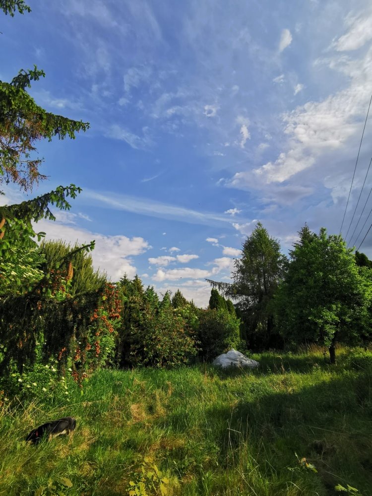 Działka budowlana na sprzedaż Jaworowa, Jaworowa, Objazdowa  643m2 Foto 2