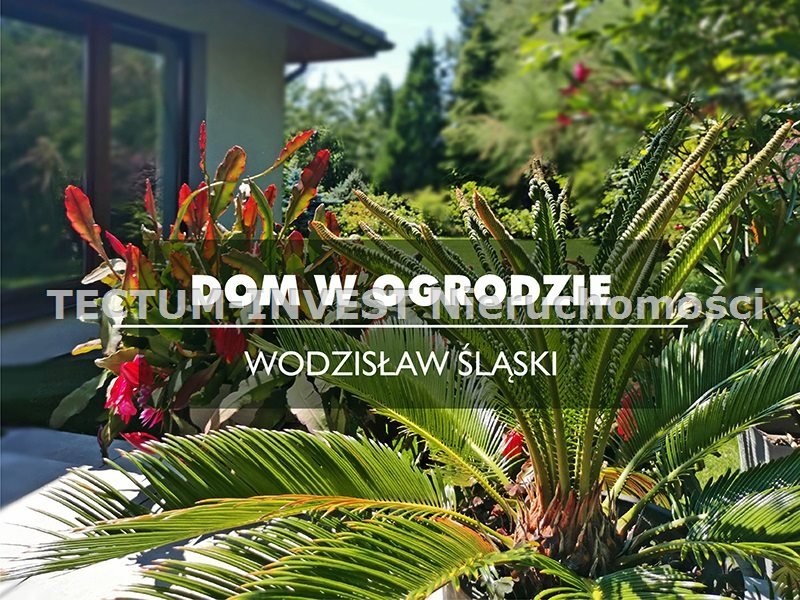 Dom na sprzedaż Wodzisław Śląski  394m2 Foto 1