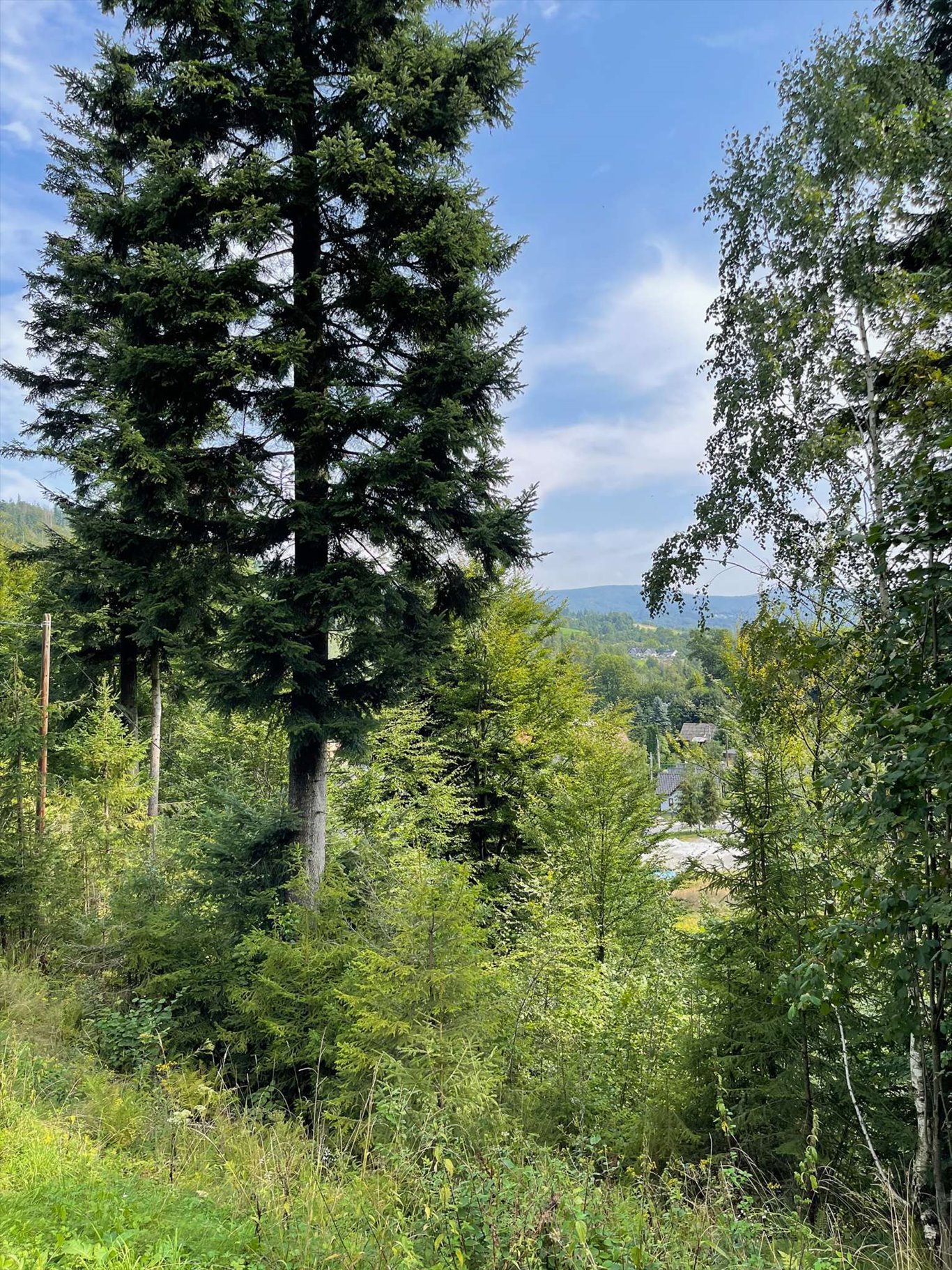 Działka budowlana na sprzedaż Wisła, Wisła  2 750m2 Foto 14