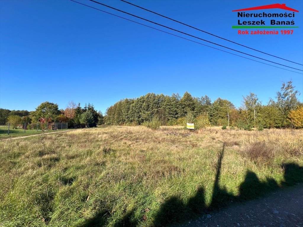 Działka 5168 m² w Małym Rudniku – potencjał inwestycyjny Mały Rudnik  5 168m2 Foto 1