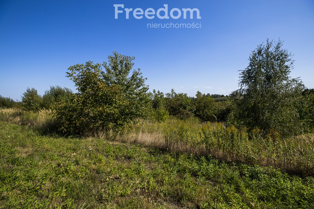 Działka budowlana na sprzedaż Kielanówka  5 500m2 Foto 3