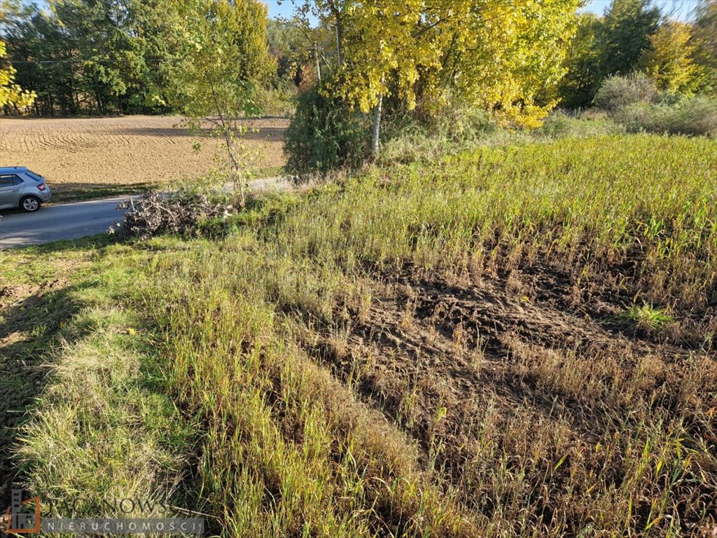 Działka rolna na sprzedaż Wilków  7 700m2 Foto 3