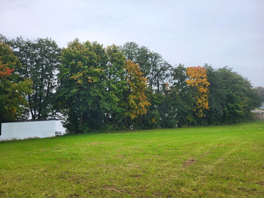 Działka z linią brzegową w Grucie - idealna pod dom marzeń. Gruta  4 044m2 Foto 1