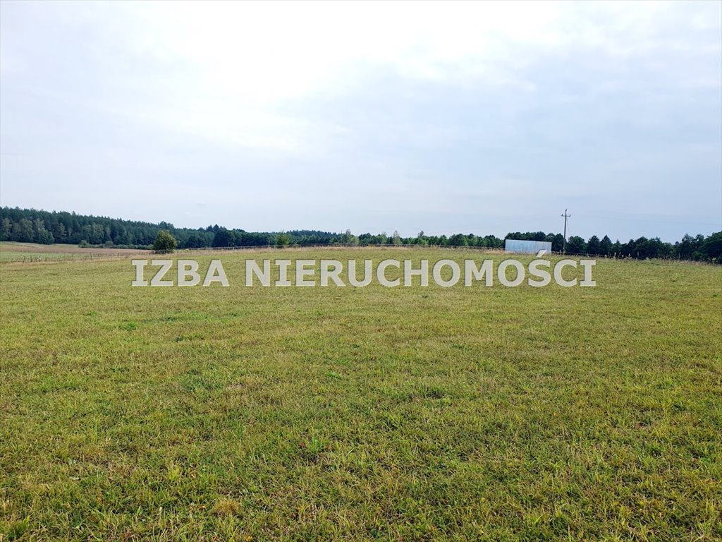 Działka rekreacyjna na sprzedaż Grabnik  3 400m2 Foto 15