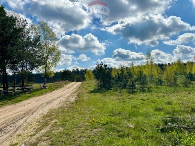 Działka budowlana na sprzedaż Czapielsk, Lubczykowa  1 007m2 Foto 3