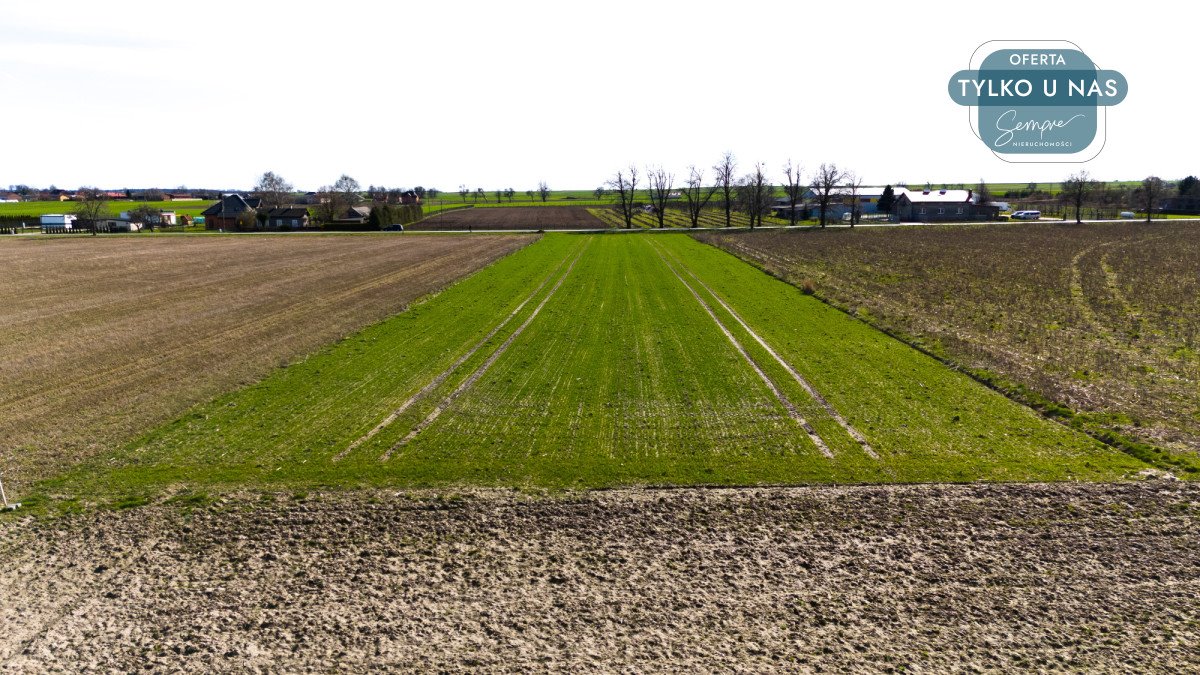 Działka rolna na sprzedaż Czarnocin, Juliusza Poniatowskiego  5 800m2 Foto 1