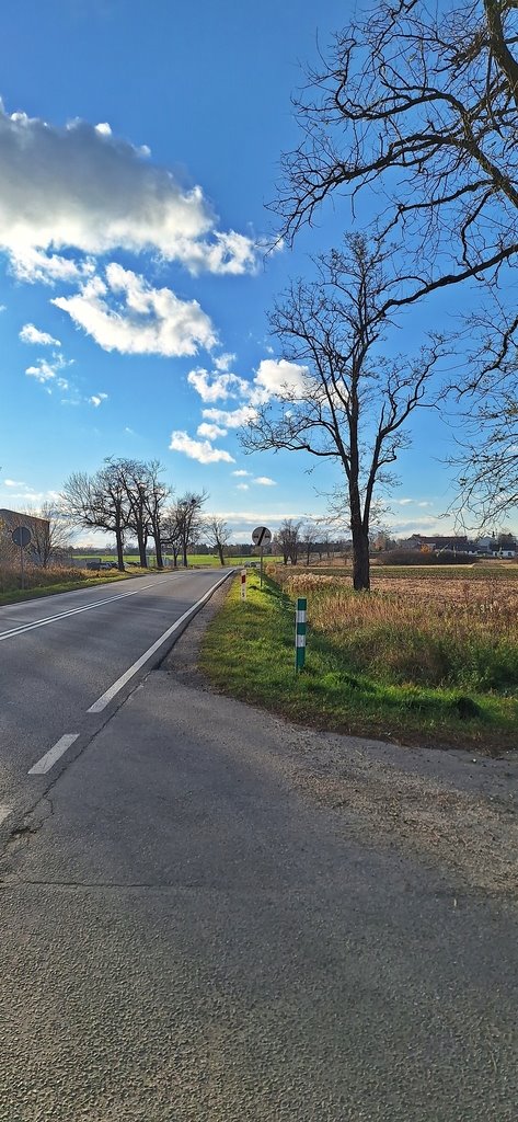 Zapraszam do inwestycyjnej działki przy DK 39 w Wiązowie Wiązów  4 000m2 Foto 1