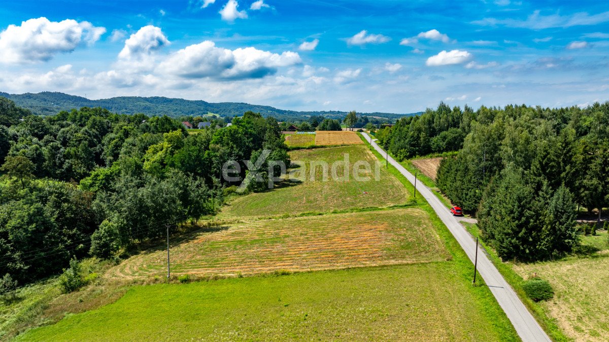 Działka budowlana na sprzedaż Kopytówka  3 569m2 Foto 6