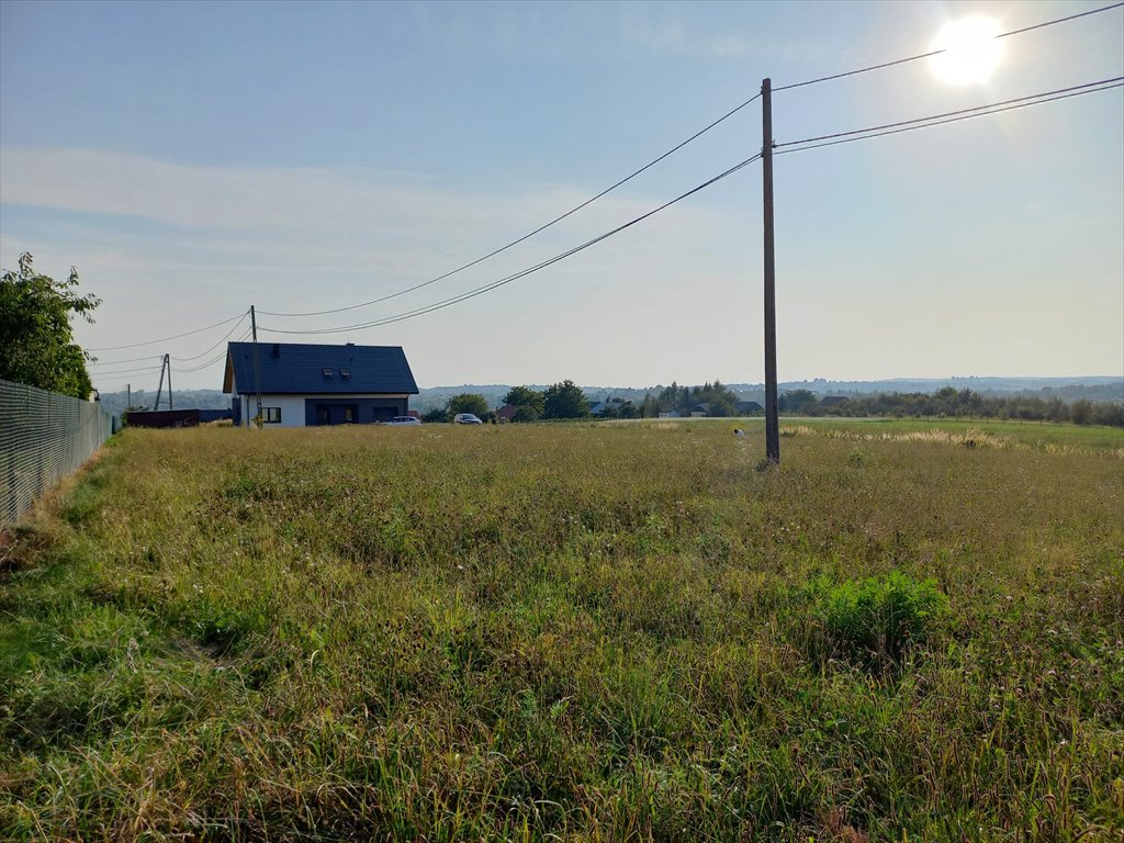 Działka budowlana na sprzedaż Świńczów  1 000m2 Foto 6