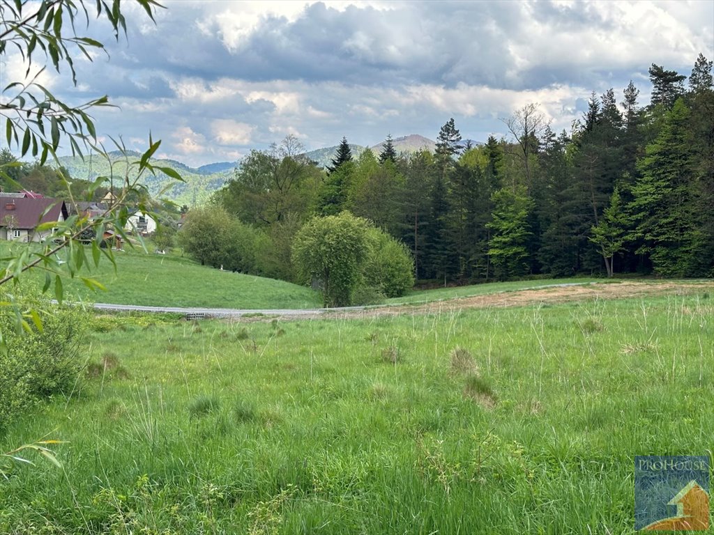 Działka budowlana na sprzedaż Piekiełko  5 617m2 Foto 18