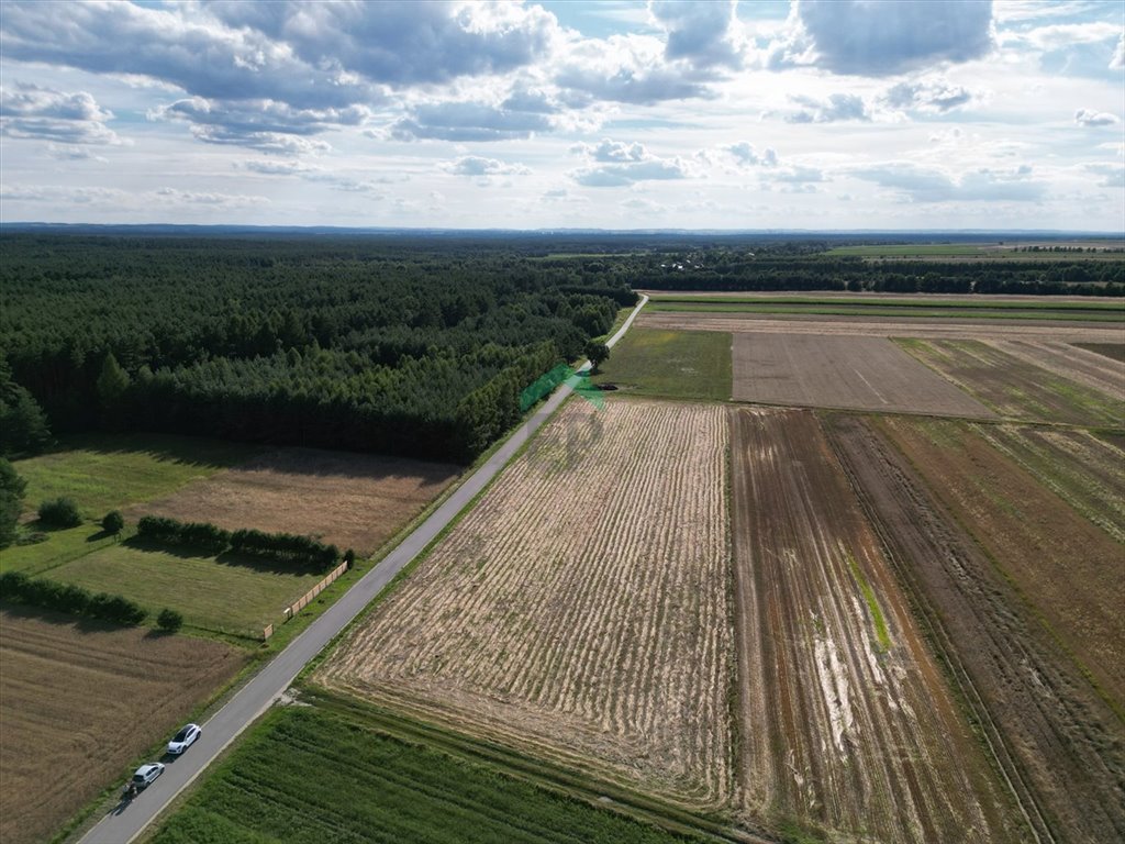 Działka budowlana na sprzedaż Dąbrówka  1 569m2 Foto 3