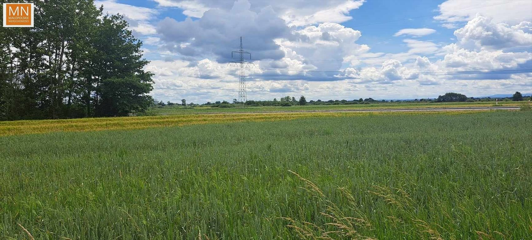 Działka rekreacyjna na sprzedaż Grobla  2 700m2 Foto 8