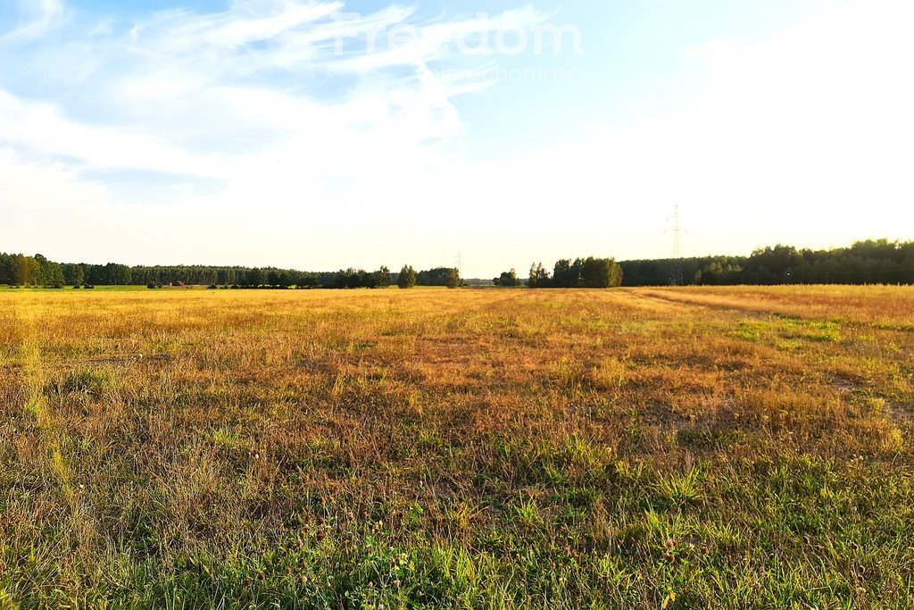 Działka siedliskowa na sprzedaż Zuzułka  3 001m2 Foto 4