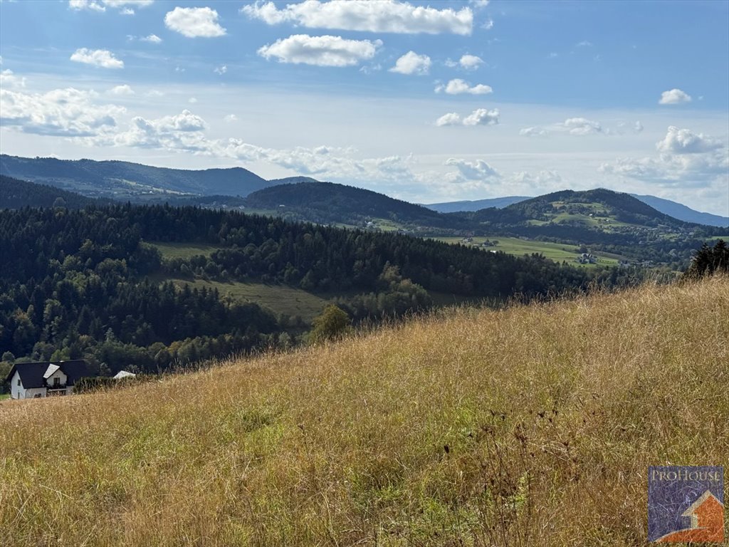 Działka pod zabudowę z warunkami, prywatność i piękny widok. Kanina  4 368m2 Foto 1