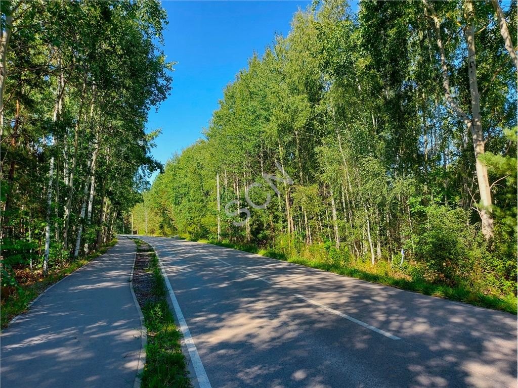 Działka budowlana na sprzedaż Pęclin  1 000m2 Foto 2