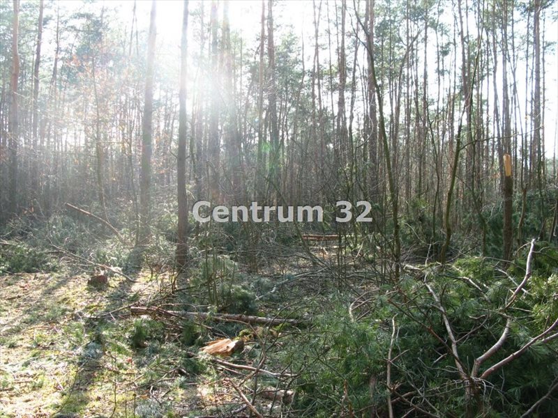 Do sprzedania działka 11 500 m² z MPZP pod rezydencje Siestrzeń  11 500m2 Foto 1