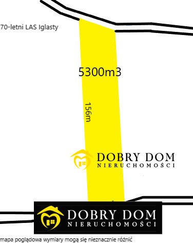Działka leśna 5300 m² w Lipnikach (las iglasty, dojazd asfalt) Lipniki  5 300m2 Foto 1