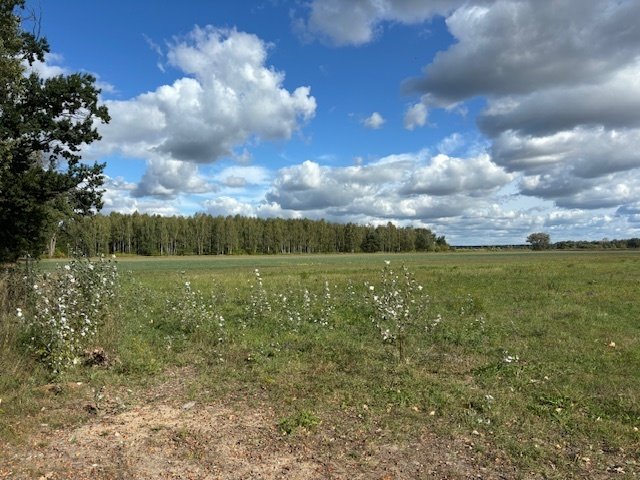 Działka rolna na sprzedaż Łąki  14 000m2 Foto 2