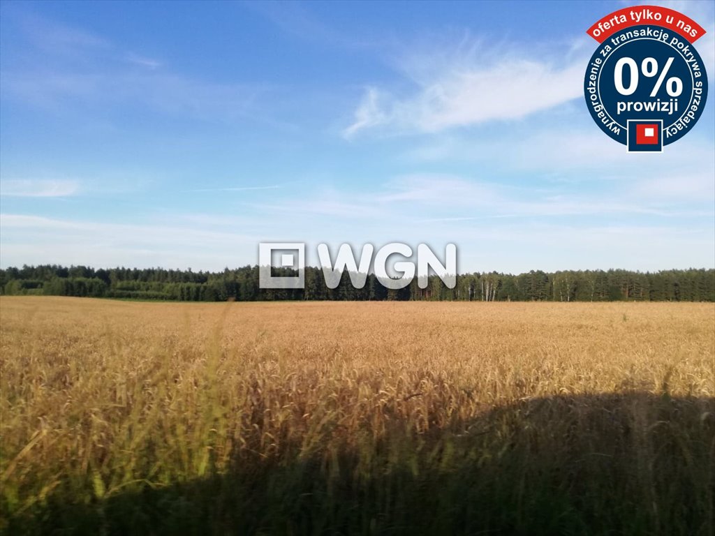 Działka rolna na sprzedaż Grabnik  28 300m2 Foto 2