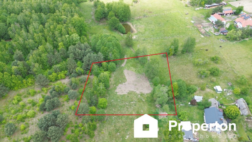 Działka budowlana na sprzedaż Sokule  3 278m2 Foto 1