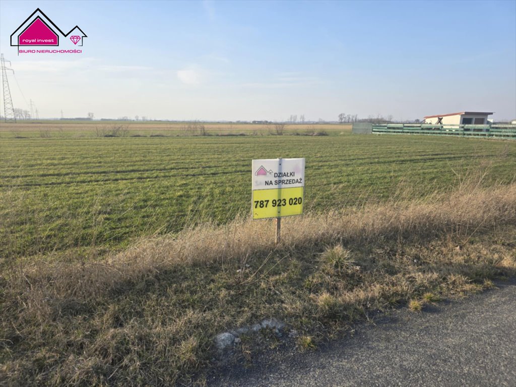 Sprzedam działkę 1300 m² w Sławoszewku - idealna pod dom lub inwestycję Sławoszewek  1 300m2 Foto 1