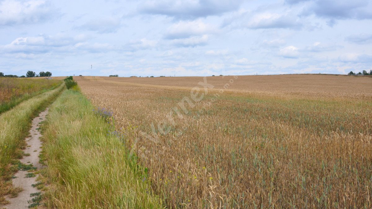 Działka budowlana na sprzedaż Swadzim  23 663m2 Foto 2