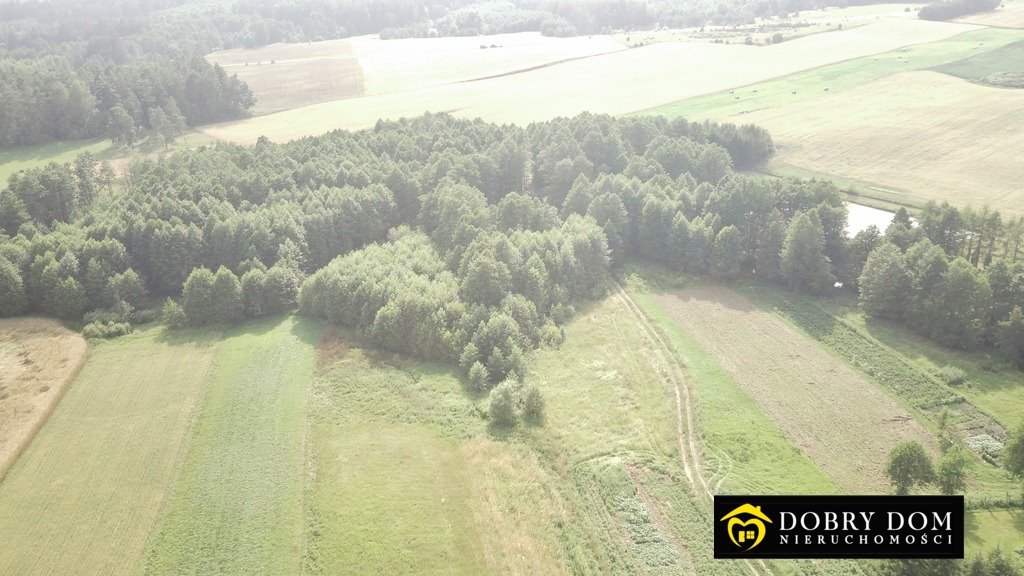 Działka rolna na sprzedaż Malinówka  9 300m2 Foto 2