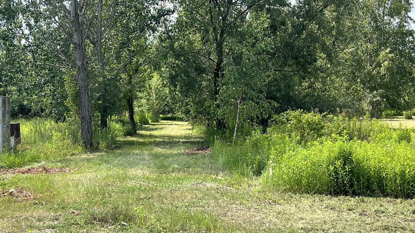 Działka budowlana na sprzedaż Kierszek, Prawdziwka  3 000m2 Foto 4